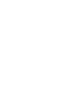 الحجة بن الحسن المهدي